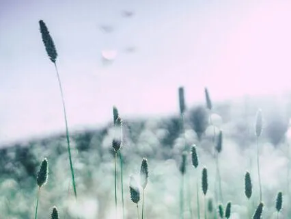 Quick Meditation For Mindfulness