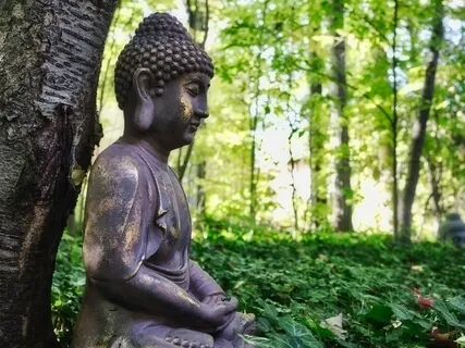 Quick Meditation For More Self-Love & Compassion