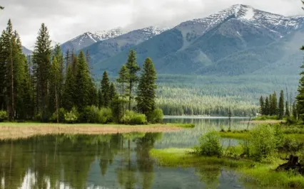 Quick Meditation For Peace #1