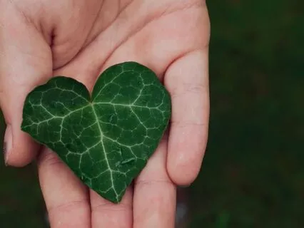 Quick Meditation To Slow Down And Connect With Nature