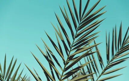 Quick Mid-Day Reset To Settle Your Mind