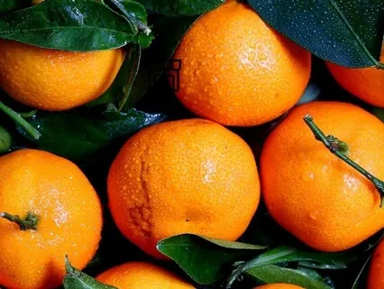 Mindful Eating Exercise