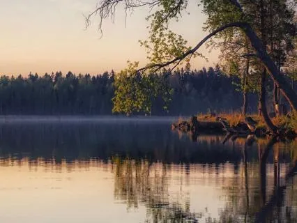 Quick Mindful Reset For Anxiety Spikes & Overthinking