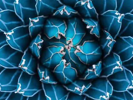 Quick Mindfulness Meditation