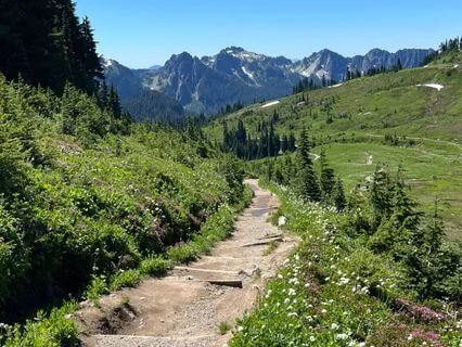 Quick Money & Wealth Rewiring Visualization Meditation