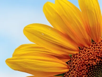 Quick Morning Affirmations