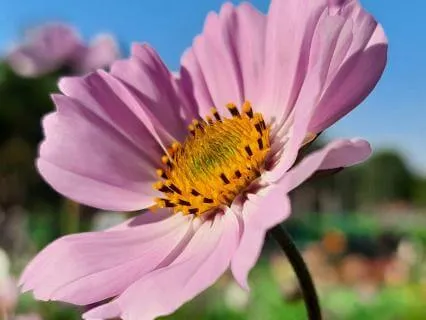 Quick Morning Energy Clearing - A Calm Start To Your Morning