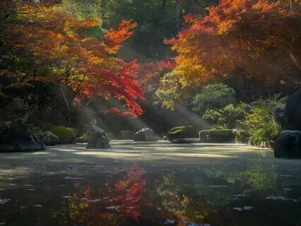 Quick Morning Energy Protection Meditation