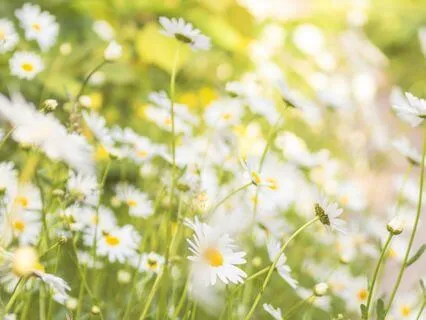 Quick Morning Energy