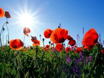 Quick Morning Gratitude Affirmation Boost