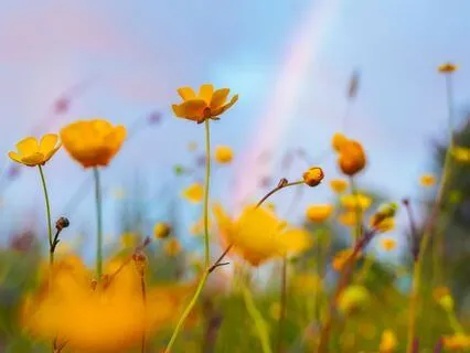 Quick Morning Gratitude & Intention