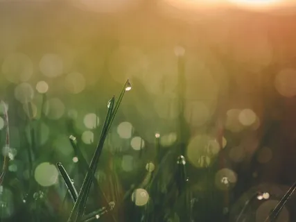 Quick Morning Grounding