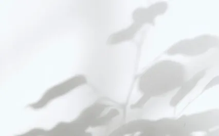 Quick Morning Practice For Connection