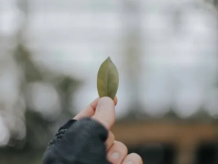 Quick Muscle Relaxation 