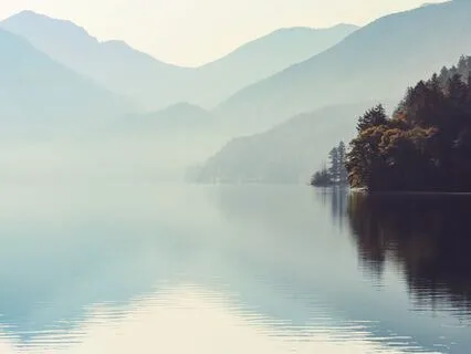 Nervous System Regulation: Attain Quick Calm In 10 Min