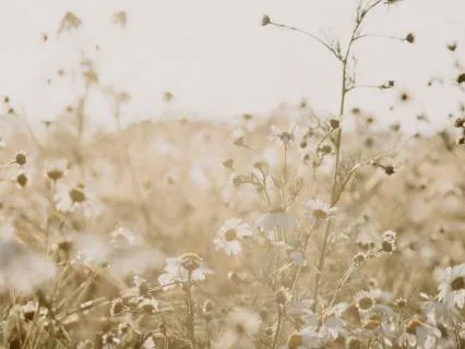 Quick Nervous System Reset With Guided Breathwork