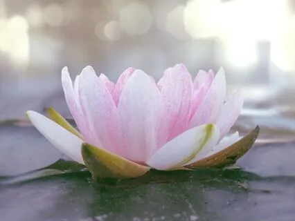 Quick Overwhelm Reset: Find Calm In Minutes