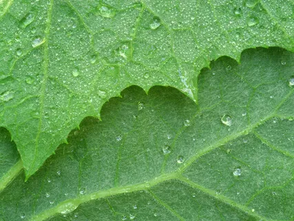 Quick Positive Morning Affirmations