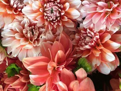 Quick Positive Morning Affirmations