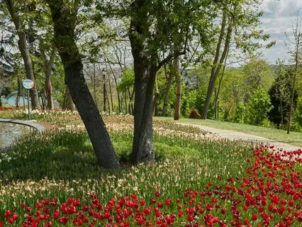 Quick Practice: The Power Of Generosity