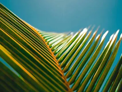 Short PROPS Practice: Fast Stress Relief Anytime