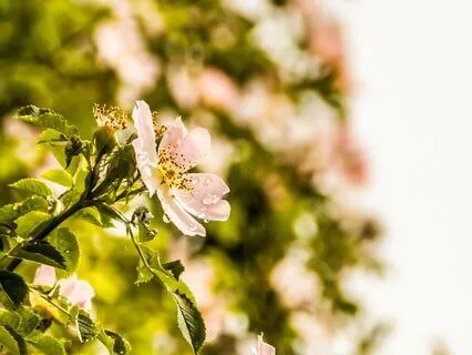 Quick Progressive Muscle Relaxation