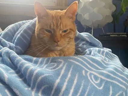 Quick Relaxation & Nervous System Reset