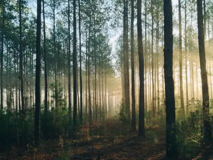 Quick Reset Breathwork Practice