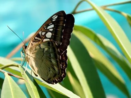 Quick Reset: Clear Your Mind In Minutes