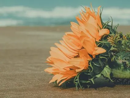 Quick Reset For Panic Or Hot Flashes