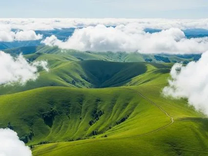 Quick Reset For Stress & Overthinking