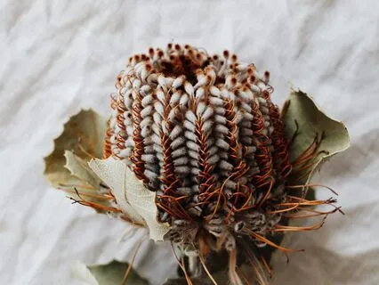 Quick Reset: Soothing Your Nervous System