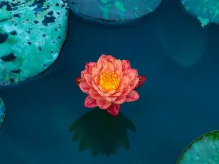 Quick Restorative Breath Practice