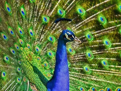 Quick Self Worth Boost