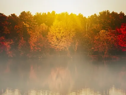 Quick Somatic Meditation 1: 12 Breaths To Balance Your Brain