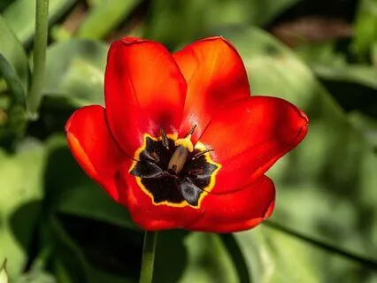 Quick Stress Release