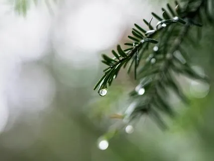 Quick Stress Relief Gentle Rain With Bilateral Brown Noise