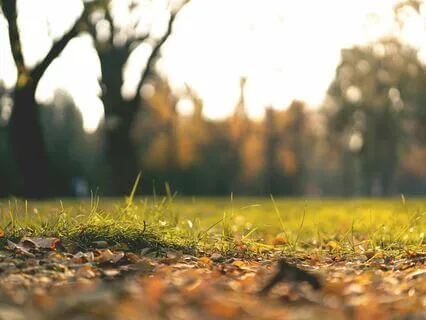 A Quick Grounding Practice For Stress And Overwhelm