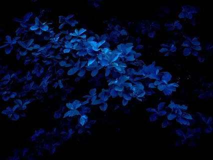 Quick Throat Chakra Activation