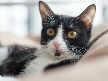 Quick Tips: Being Vs. Doing