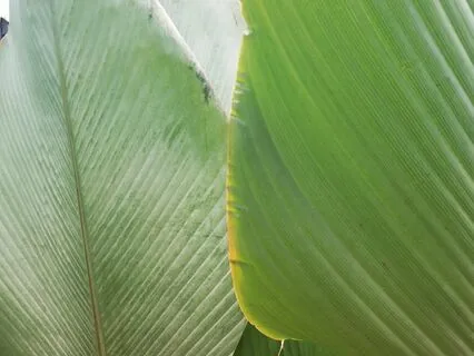 Whole Body Relaxation (short)