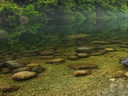 Quick Yoga Nidra For Deep Rest & Nervous System Reset