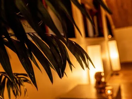 Quick Yoga Nidra Reset "Nap"