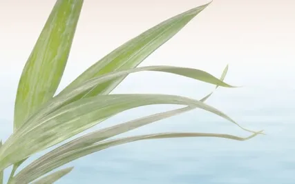 Quickly Calm Down Your Nervous System