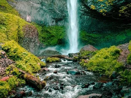 Quickly Calming Breath Basics 7-Minute Meditation