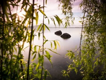 Quickly Melt Tension With 741Hz