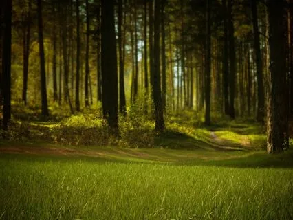 Instant Relaxation: Guided Meditation For Deep Sleep