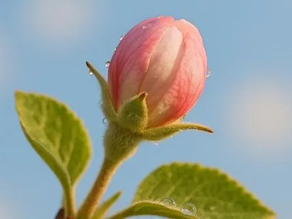 Quiet Air Within Me - Unconditional Love Series