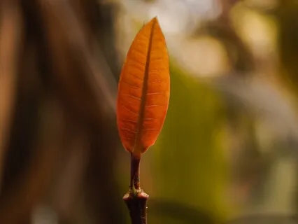 Quiet Concentration Vibes