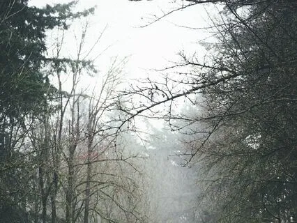 Quiet Contemplation In The Rain